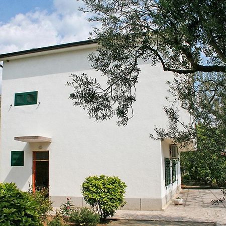 Apartments And Rooms By The Sea Zaostrog, Makarska - 2661 Dış mekan fotoğraf